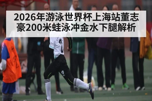 2026年游泳世界杯上海站董志豪200米蛙泳冲金水下腿解析 | LeBo Sports
